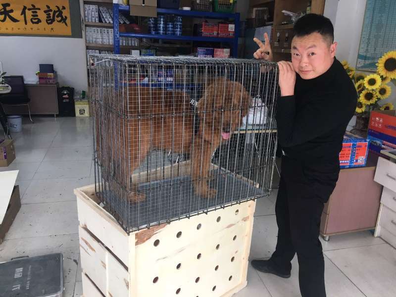 關于“寵物托運”，那些你不知道的事