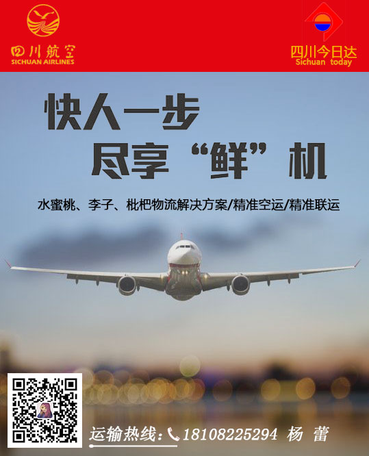 告訴您主單與合票區別