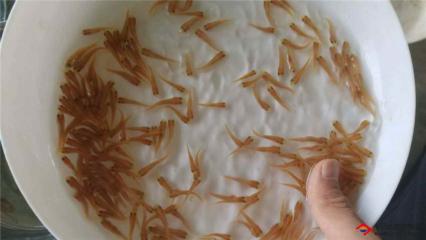 1-1Q12513031H28 1-1Q12513031H28