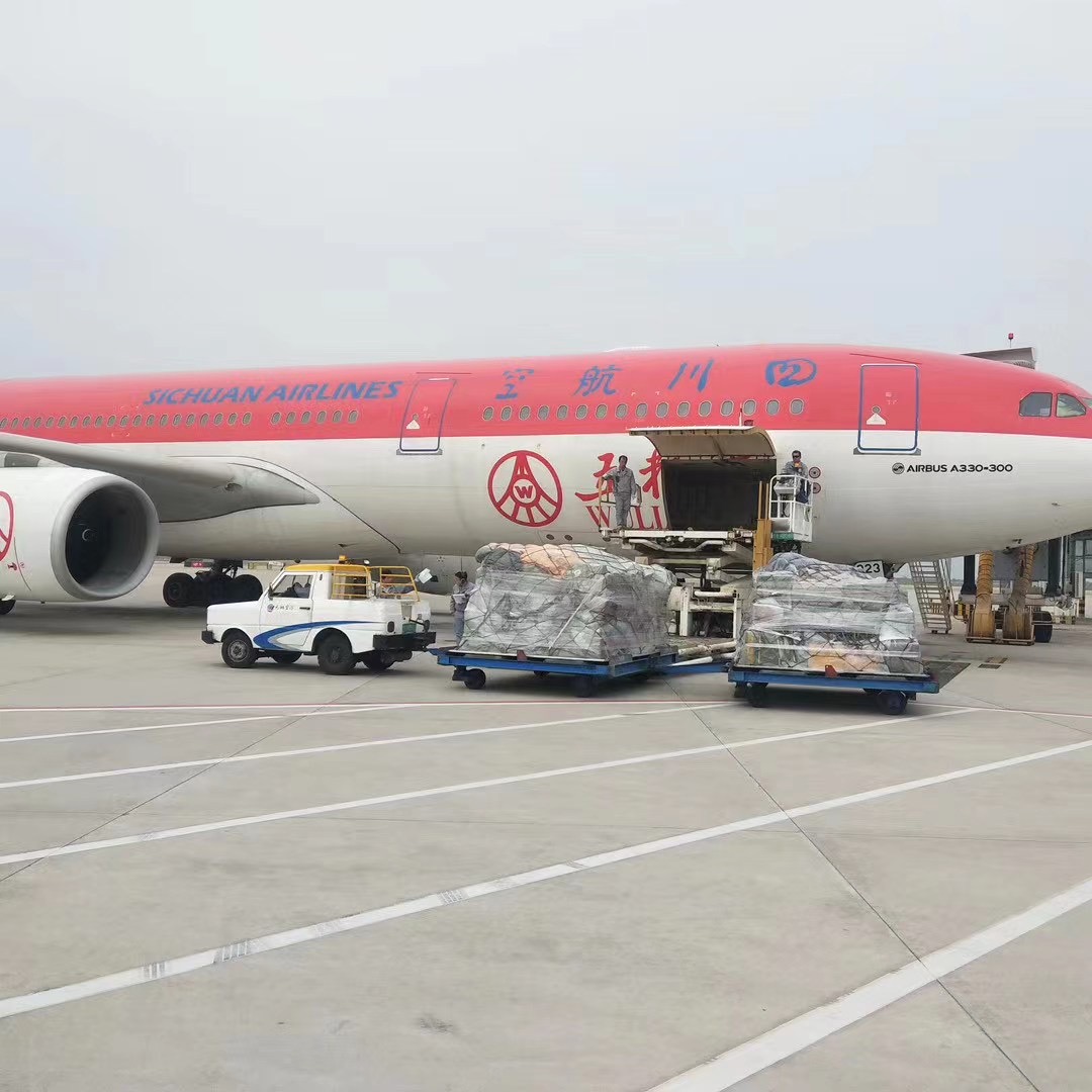 航空快遞與物流行業面臨數字化和環保挑戰，展望未來發展機遇